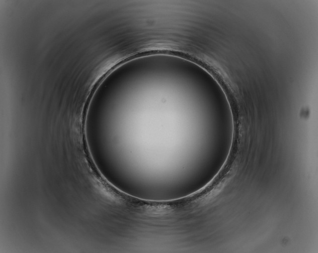 X0000100751129200806191137