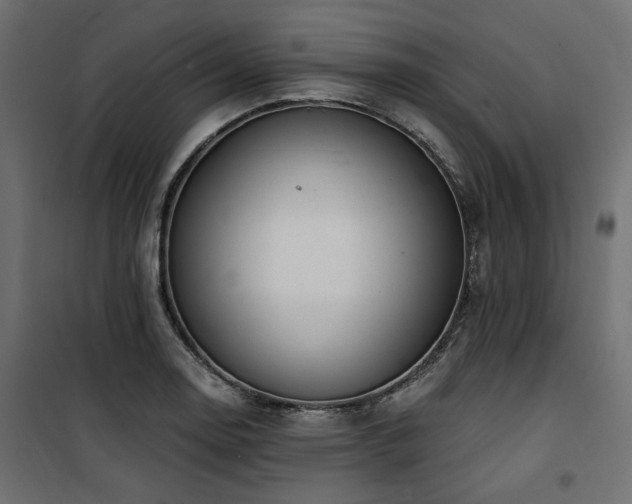 X0000100751130200806191137