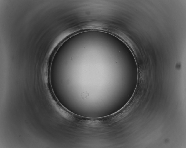 X0000100751131200806191137