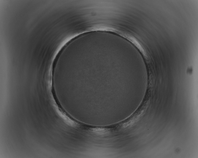 X0000100751132200806191137