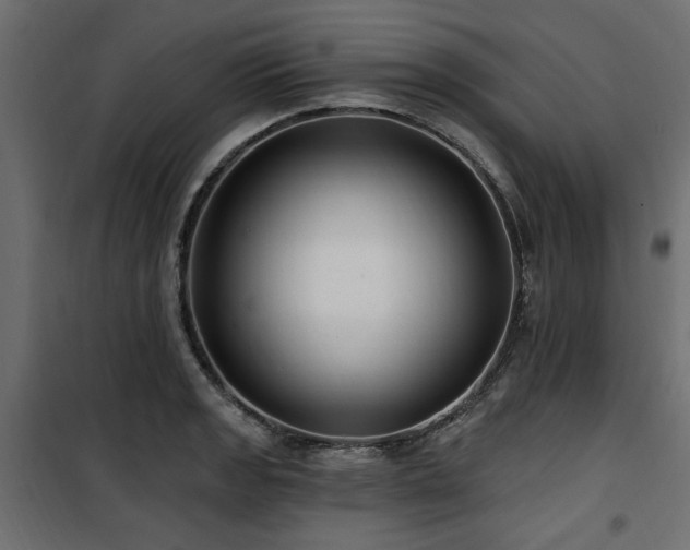 X0000100751133200806191137