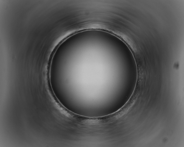 X0000100751134200806191137