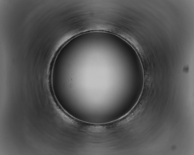 X0000100751135200806191137