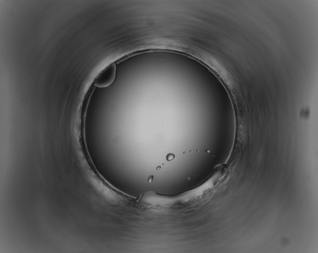 X0000100751136200806191137