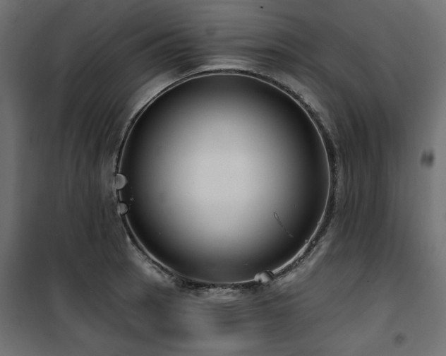 X0000100751137200806191137