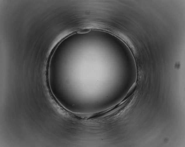 X0000100751138200806191137