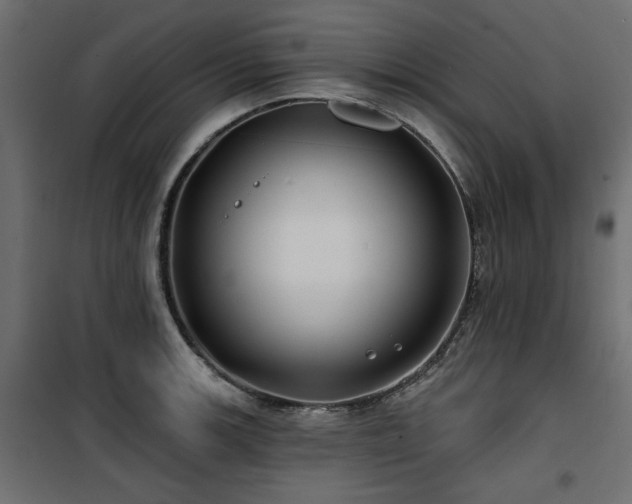 X0000100751139200806191137