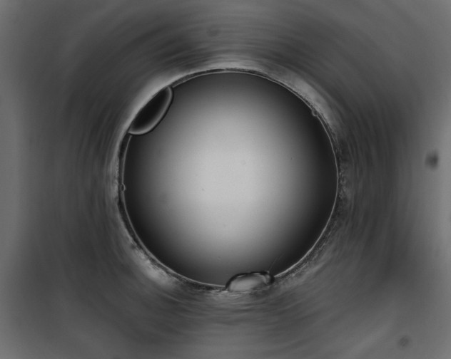 X0000100751140200806191137