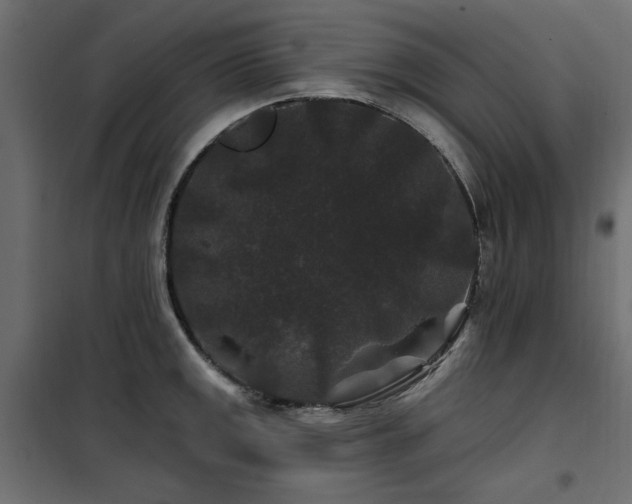 X0000100751141200806191137