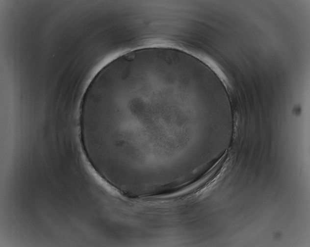 X0000100751142200806191137