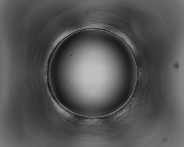 X0000100751143200806191137