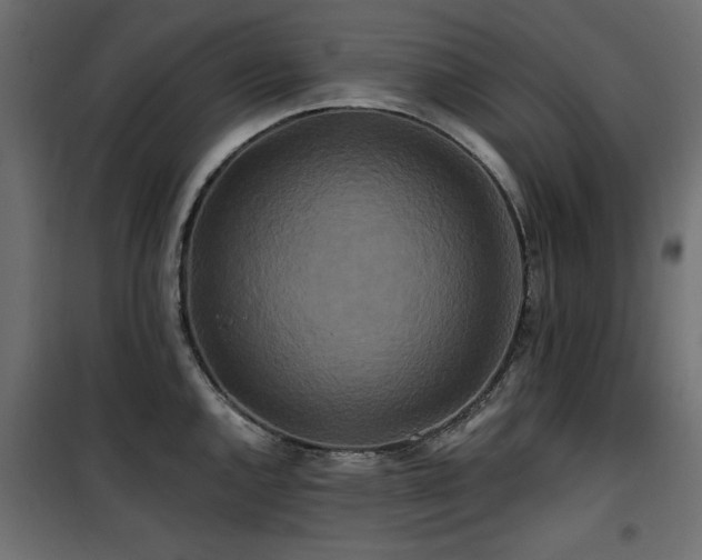 X0000100751144200806191137