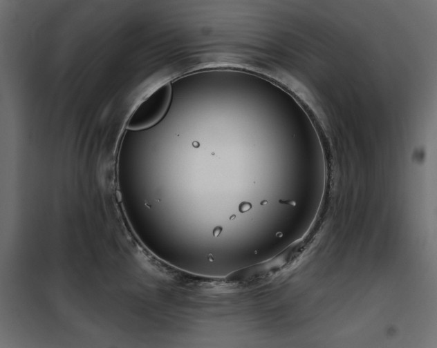 X0000100751145200806191137