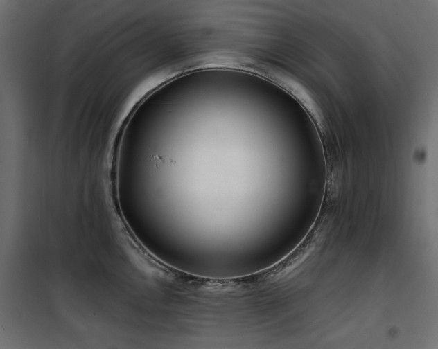 X0000100751146200806191137