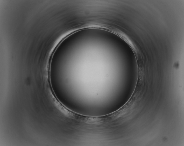 X0000100751148200806191137