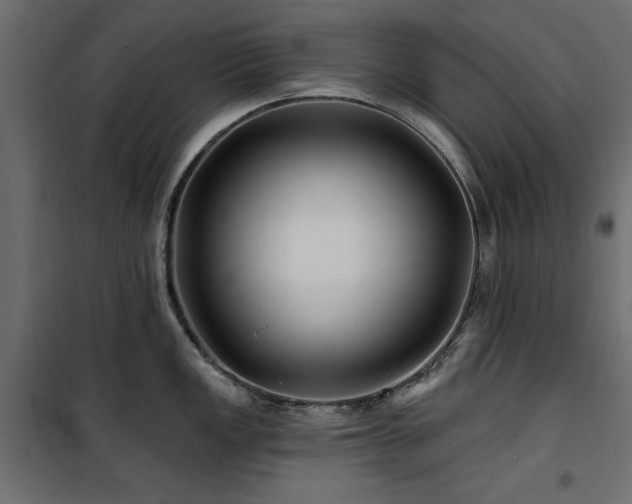 X0000100751149200806191137