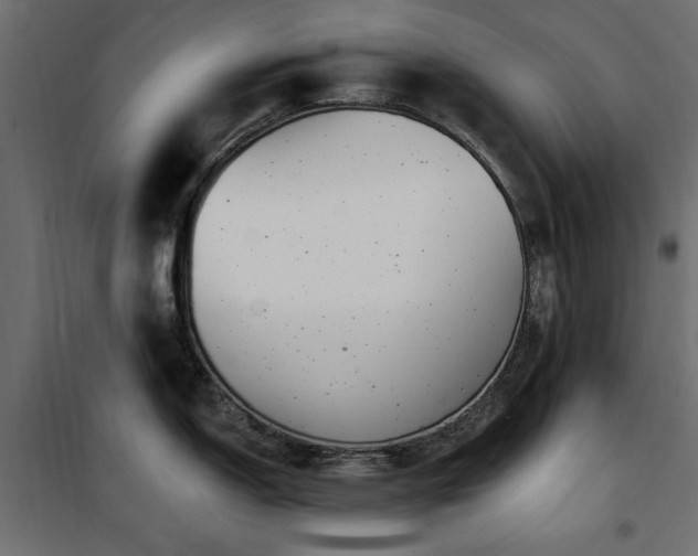 X0000100751150200806191137