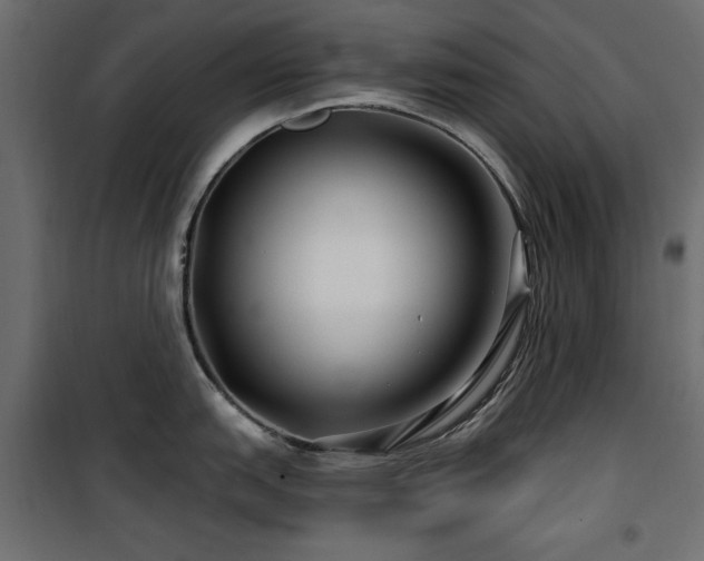 X0000100751151200806191137