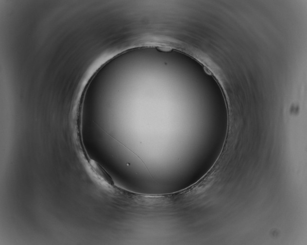 X0000100751152200806191137