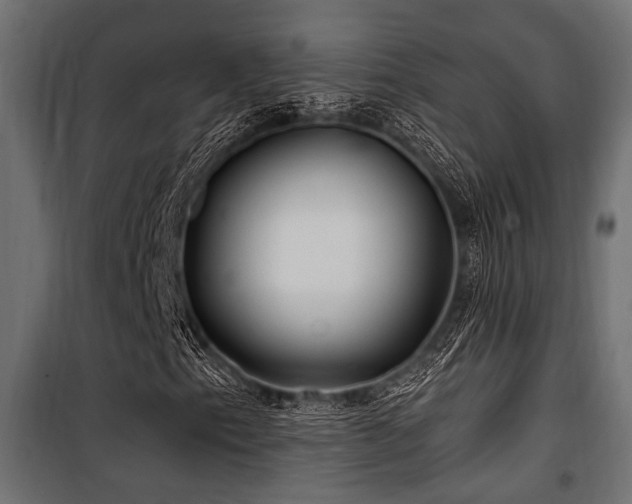 X0000100751153200806191137