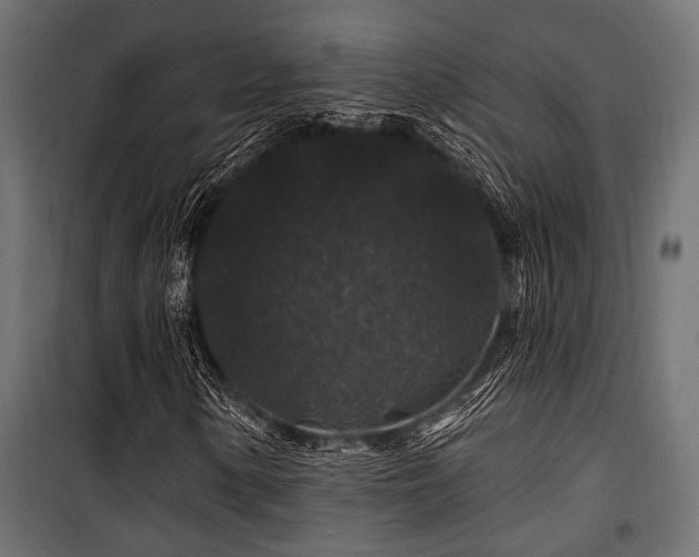 X0000100751154200806191137