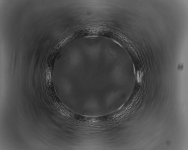 X0000100751155200806191137