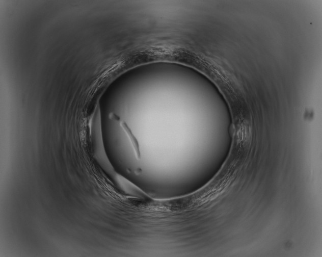 X0000100751156200806191137