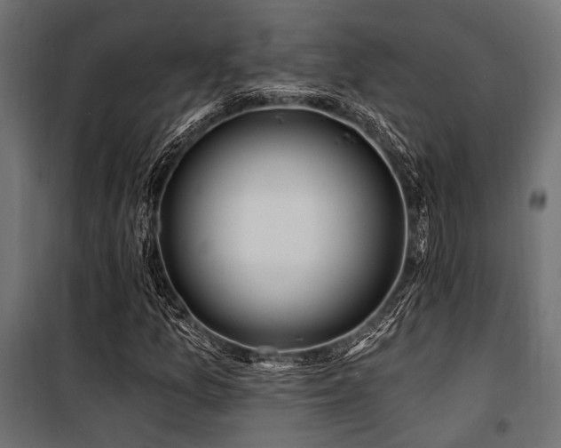 X0000100751157200806191137