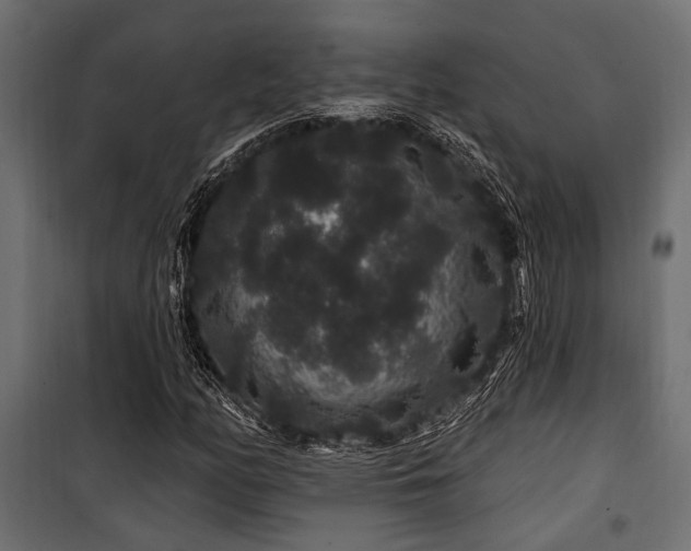 X0000100751158200806191137