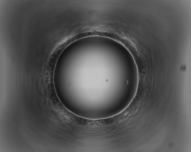 X0000100751159200806191136