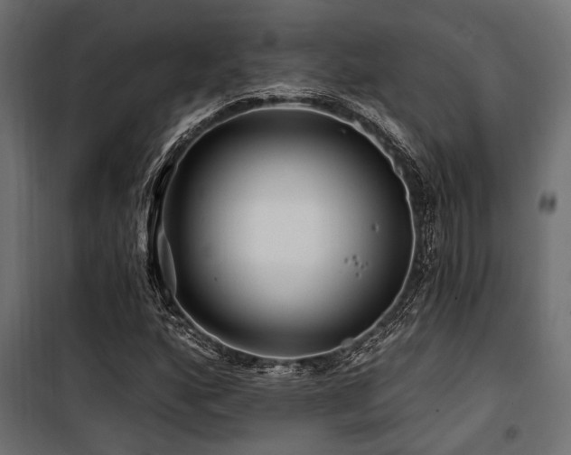 X0000100751160200806191136