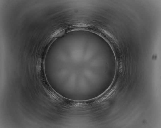 X0000100751161200806191136