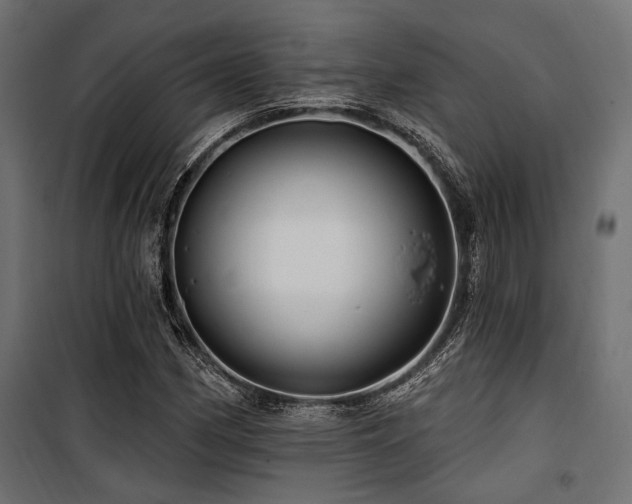 X0000100751162200806191136