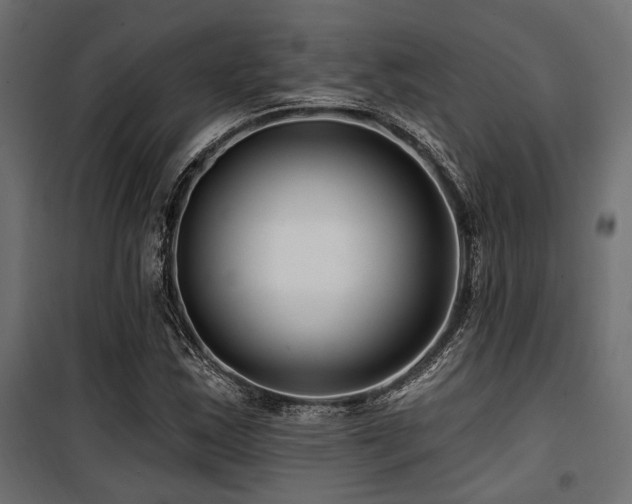 X0000100751163200806191136