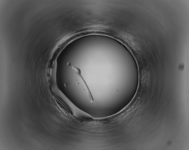 X0000100751164200806191136