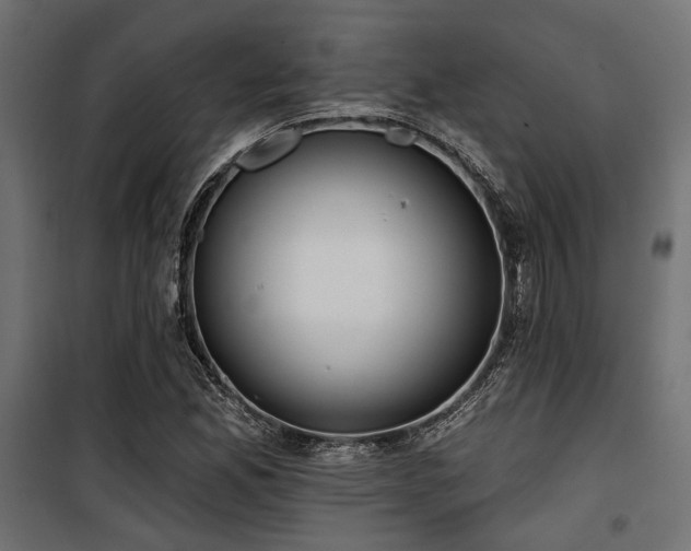 X0000100751165200806191136