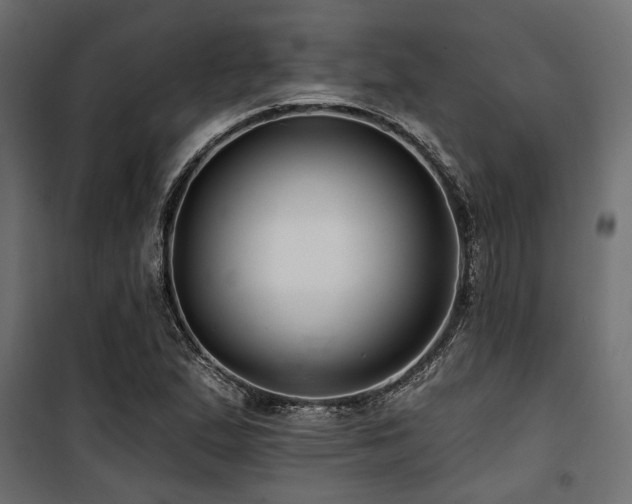 X0000100751167200806191136