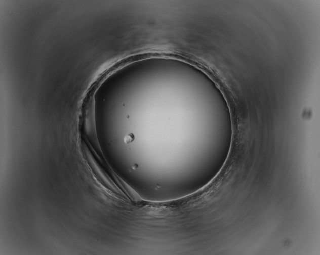 X0000100751168200806191136