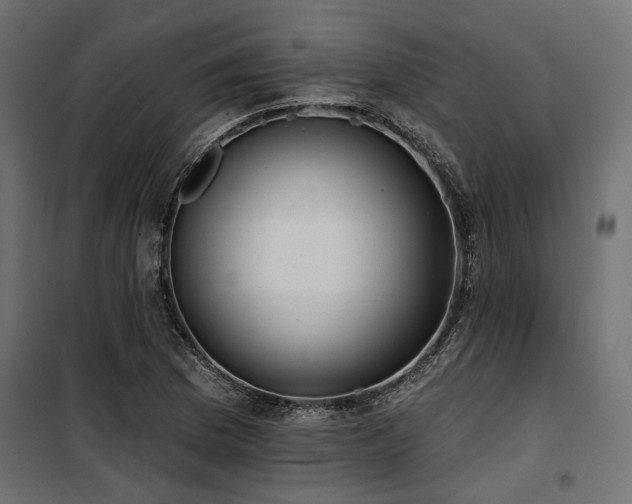 X0000100751169200806191136