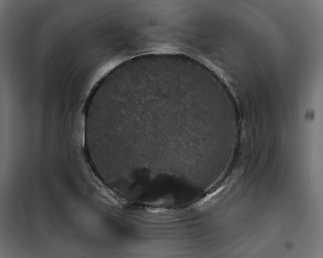 X0000100751171200806191136