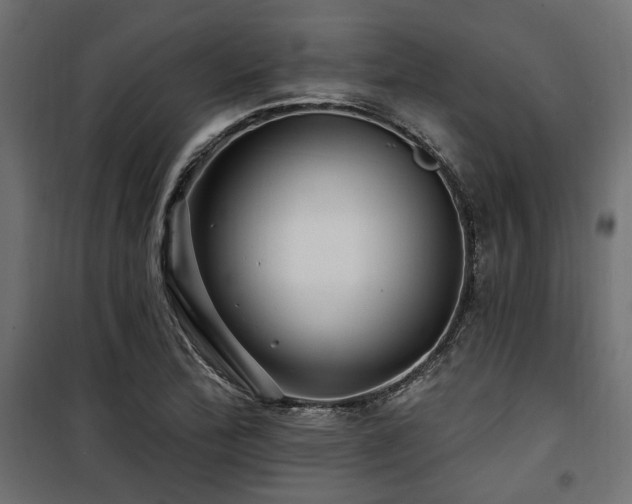 X0000100751172200806191136