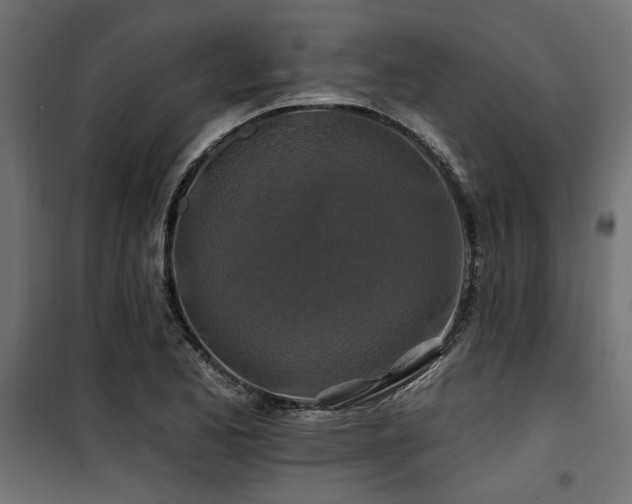 X0000100751173200806191136