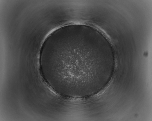 X0000100751174200806191136