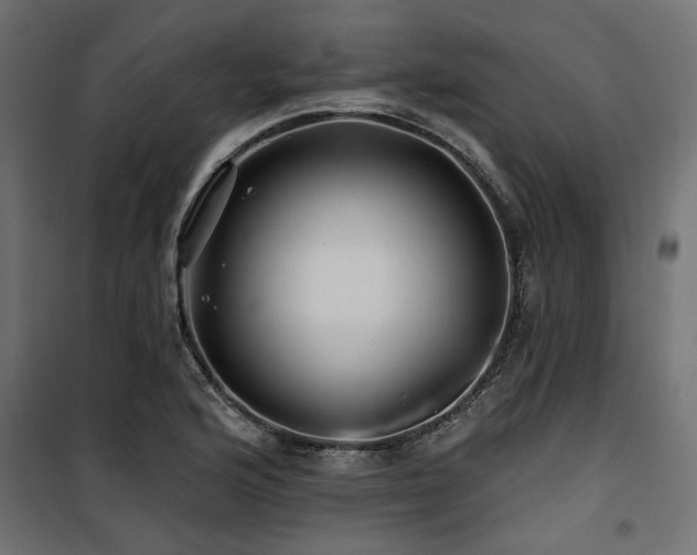 X0000100751176200806191136