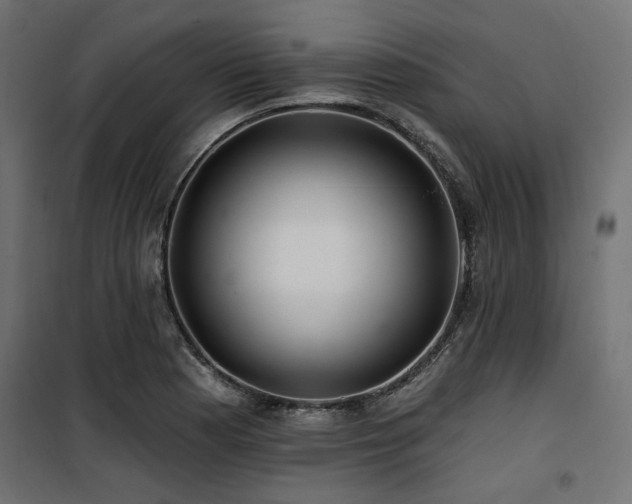 X0000100751177200806191136