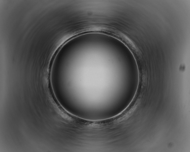 X0000100751178200806191136