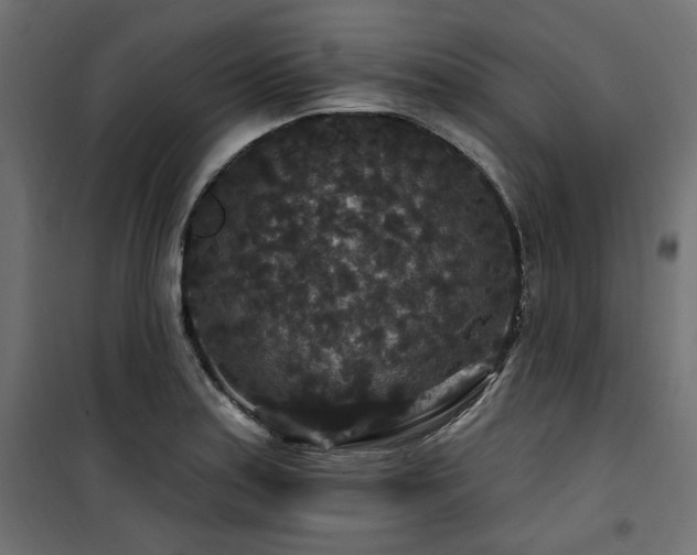 X0000100751179200806191136