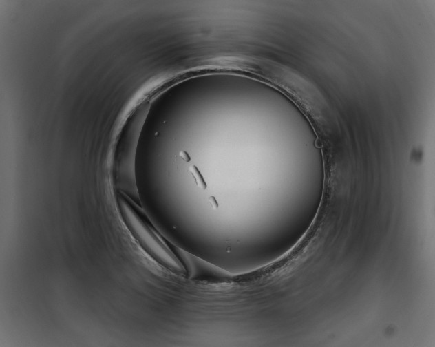 X0000100751180200806191136