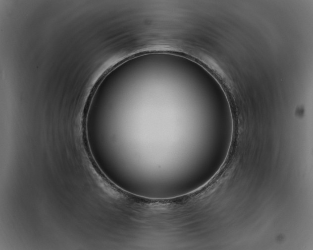 X0000100751181200806191136