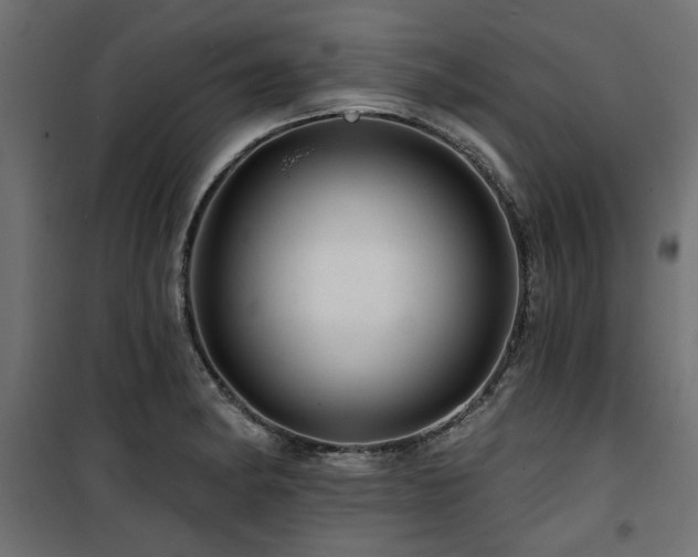 X0000100751182200806191136